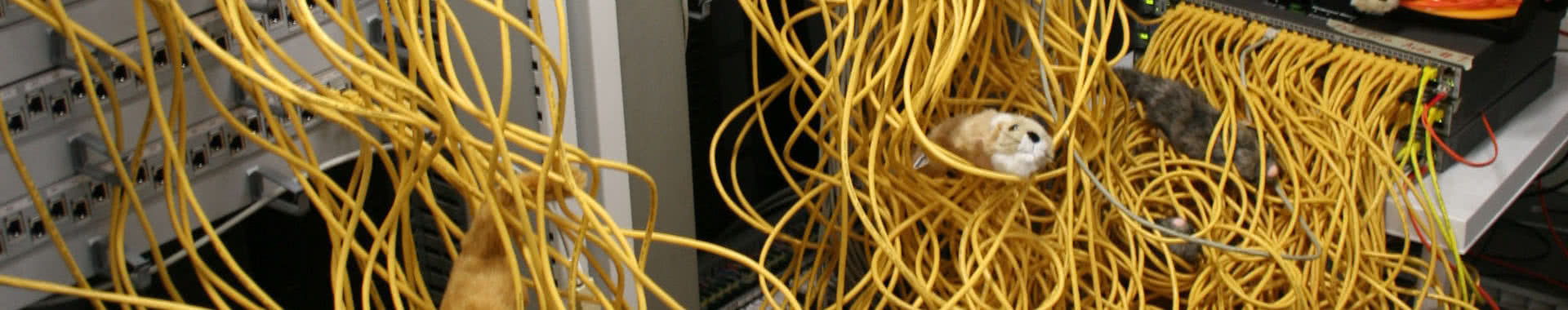 Title Image: HTTP ETag, Nutzen und Funktionsweise