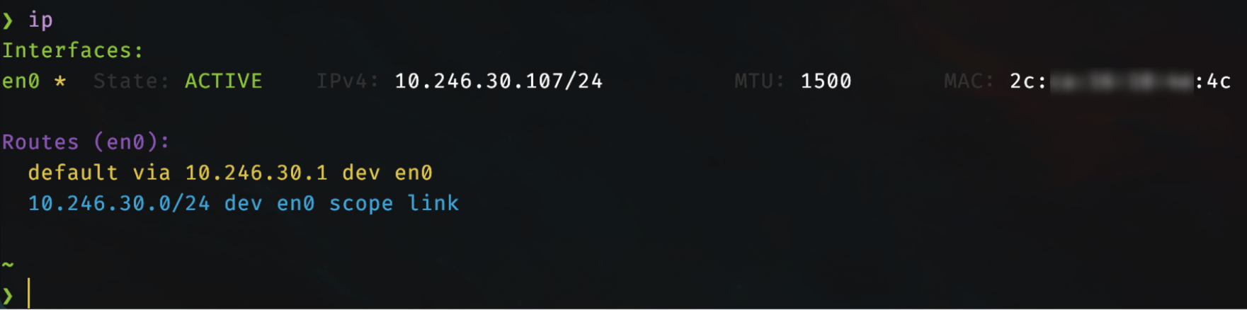output of ip wrapper function fish shell MacOS