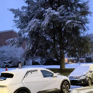 covered in snow