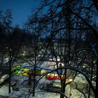 Snow Covered