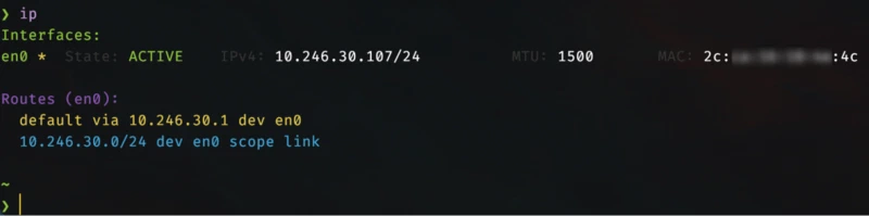Screenshot macos terminal ip2route fish optimized output
